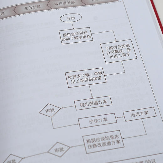 劳务派遣服务与规范化管理系列 2册 劳务派遣服务标准与业务规范 劳务派遣公司规范化运营手册劳务公司业务运营内部管理经营管理书 商品图3