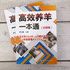 高效养羊一本通 彩图版 肉羊养殖书籍种草养羊技术 羊饲料原料加工贮藏及饲喂方法羊生产规划选种选配繁殖产羔管理饲养管理书籍 商品缩略图2
