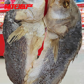 50950散装特大黄鱼鲞