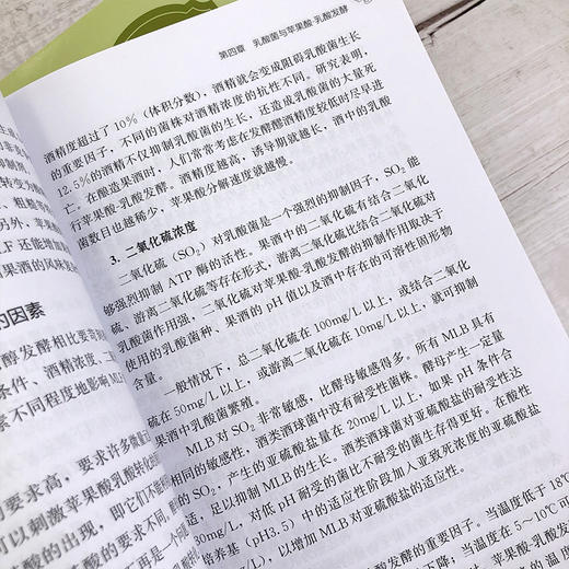 果酒酿造 发酵果酒生产技术 果酒生产工艺与配方大全书籍 果酒配方制备制作教程 果酒发酵酿造酿制酒曲勾兑技术 酿好果酒入门书籍 商品图4