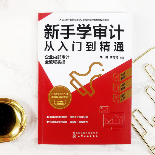正版 新手学审计从入门到精通 企业内部审计全流程实操 审计新手流程实操指导审计实务入门书籍审计准则内审人员内部审计工作宝典? 商品图2