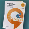Gambas 程序设计从入门到精通 Gambas工程应用 基于国产操作系统 丰富案例 覆盖Gambas 学习每一阶段 程序开发人员参考应用书籍 商品缩略图4
