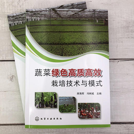 蔬菜绿色高质高效栽培技术与模式 蔬菜绿色高质高效单项实用技术 日光温室环境调控露地蔬菜栽培土肥水管理农药病虫害绿色防控书籍 商品图2