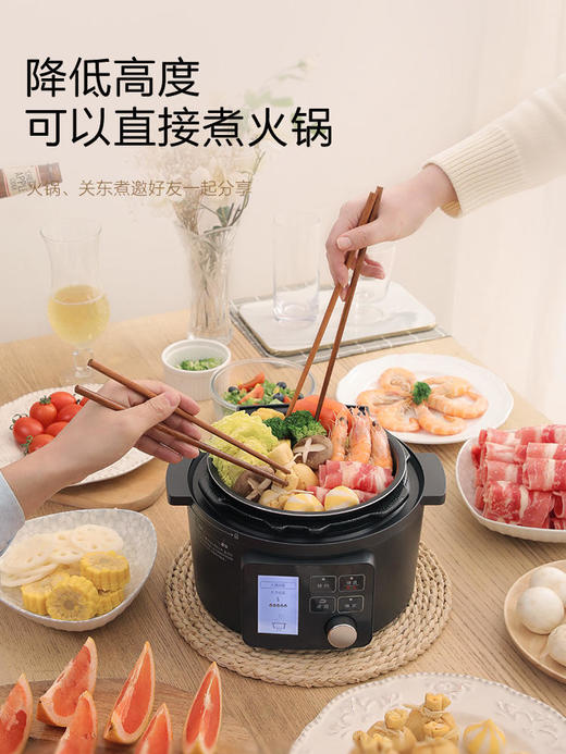 日本爱丽思电压力锅高压锅煲饭全自动火锅智能家用煲汤炖肉多功能 商品图1
