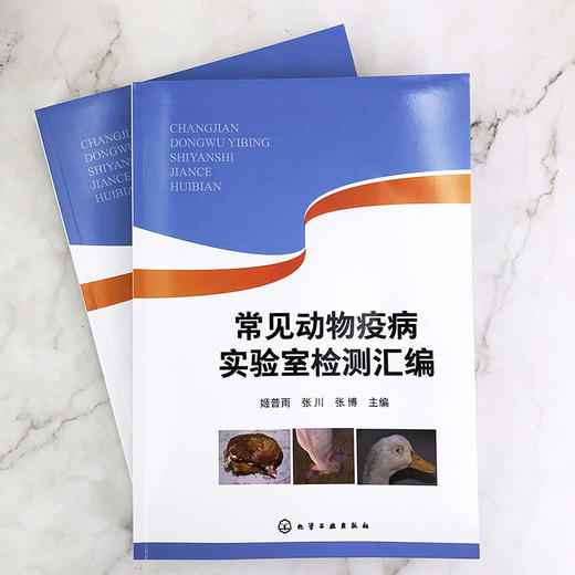 常见动物疫病实验室检测汇编 动物疫病实验室检测指导书?动物养殖中病毒病实验室检测方法 动物防疫实验室生物安全管理应用书籍 商品图2