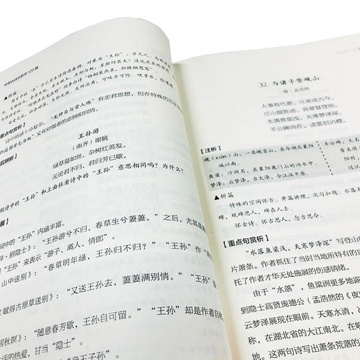 名校名师高分策略 中学古诗文助学120篇 人大附中名师编写 唐诗宋词文言文联系课内课外 紧扣中考 高考考纲 直击考点课外辅导书籍 商品图3