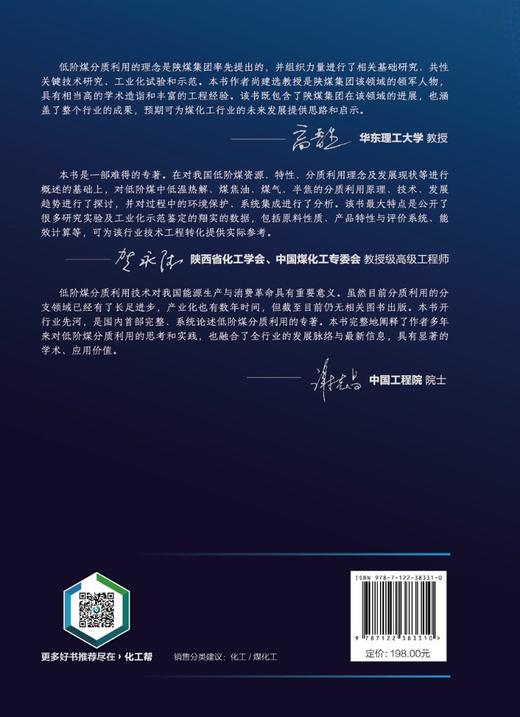 低阶煤分质利用 低阶煤特性分质利用概念与发展现状 低温煤焦油热解气热解半焦分质利用技术原理 煤化工清洁能源 煤炭高效利用书籍 商品图1