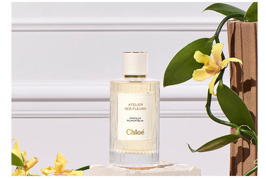 蔻依 梵尼兰之水 仙境花园系列 Chloe Vanilla Planifolia 小样/正装 商品图0