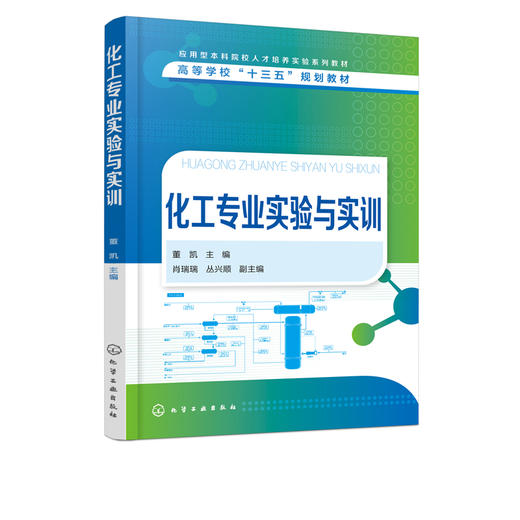 化工专业实验与实训 董凯 化工实验 化工热力学化学反应化工分离实验  化工仿真实习实训 高等院校化学工程与工艺专业实验实训教材 商品图2