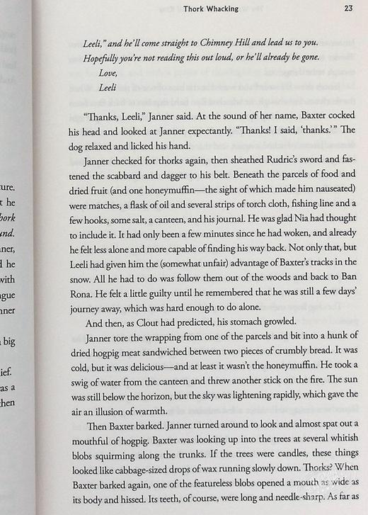 【中商原版】羽翼传奇4 英文原版 The Wingfeather Saga #04: The Warden and the Wolf King Andrew Peterson 青少年奇幻小说 商品图4