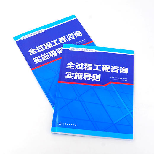 全过程工程咨询丛书--全过程工程咨询实施导则 商品图2