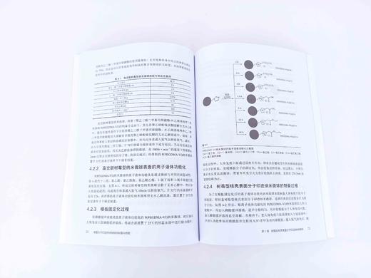 表面分子印迹纳米微球的制备与性能 论述多种纳米微球制备与性能表征的专著 不同结构纳米微球载体制备方法材料化学等科研人员用书 商品图3