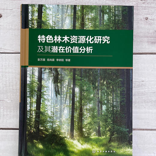 特色林木资源化研究及其潜在价值分析 林业废弃物资源化利用 特色林木资源保护性开发 深度解析特色林木植物成分 森林生态保护书籍 商品图2
