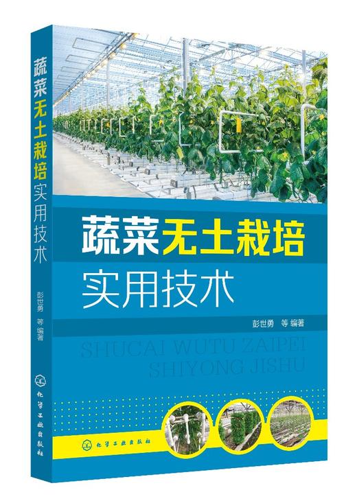 蔬菜无土栽培实用技术 无土栽培概念类型特点发展历史应用范围 无土栽培基地规划与环境调控技术 蔬菜作物无土栽培理论知识应用书 商品图0
