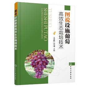 图说设施葡萄高效生态栽培技术 葡萄高效栽培技术 葡萄栽培设施建设 葡萄生物学特性 葡萄苗木培育设施葡萄生态栽培技术应用书籍