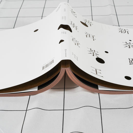 新茶路 普洱茶王老班章 茶经茶艺茶道入门茶书 识茶泡茶品茶茶艺师评茶员培训教程 老班章普洱茶制作工艺中国茶文化茶叶一本通大全 商品图3