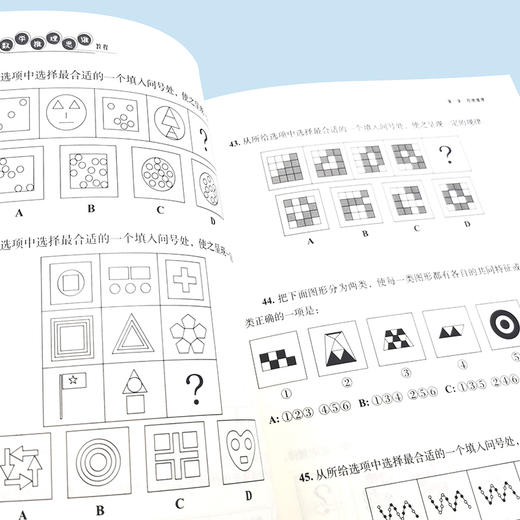 小升初数学推理思维教程 8-13岁学生小升初数学思维教程儿童读物 高思数学导引姊妹篇 新概念奥林匹克数学 图形推理思维养成宝典 商品图3