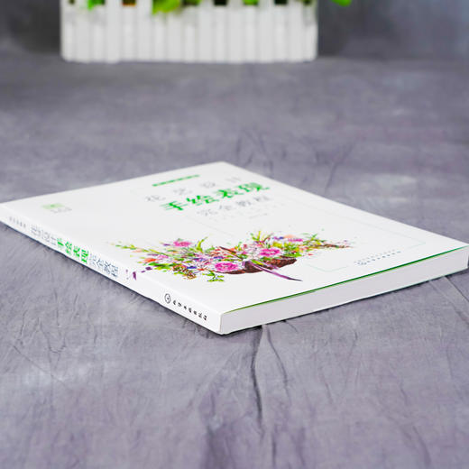 花艺设计手绘表现完1全教程 花店必修课 花艺设计师手绘入门教程 零基础学习花艺设计手绘 小型花艺手绘技法 空间花艺手绘技法 商品图3