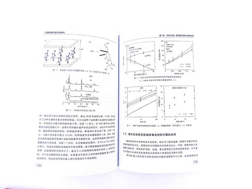 二维层状蛭石复合功能材料 纳米功能材料层状功能材料性质应用 复合功能材料层状功能材料概述 蛭石改性吸附催化方面技术应用书籍 商品图4