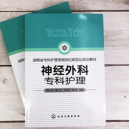 神经外科专科护理 陶子荣 神经外科疾病护理外科重症处理书籍 新神经外科处理技术 医院圣经外科护士学习培训参考书护士考核一本通 商品图2