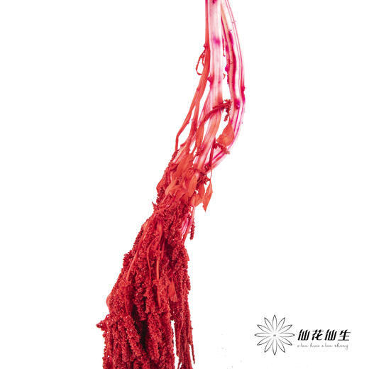 永生花材 ｜ 吊米红水晶 商品图2