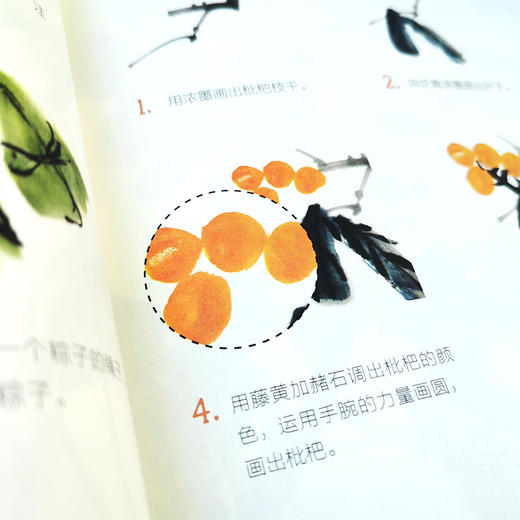 儿童绘画入门教程 国画 儿童零基础自学国画教材画谱 动物花鸟蔬果山水画法 少儿学水墨画基础技法教材书 中国国画传统绘画教程书 商品图4