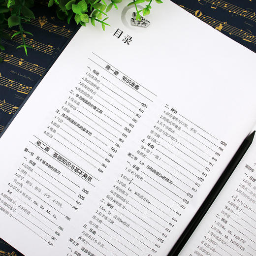 陶笛入门与考级教程五线谱版 考级曲目详解分析 考级教程 三管复管 十二孔陶笛 陶笛入门 陶笛基本知识 演奏基本技法 陶笛教学书籍 商品图3