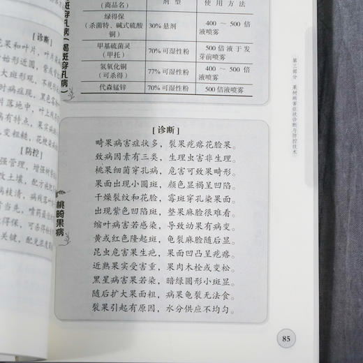 正版 果树病虫害诊断与绿色防控技术口诀 蔬菜病虫害防治技术经验防控药用技术 果树病害症状诊治防控 基层农技推广人员参考书籍 商品图5