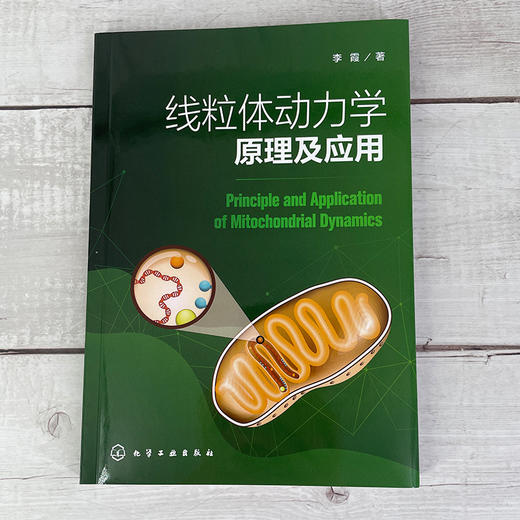 线粒体动力学原理及应用 线粒体表观遗传学 线粒体动力学及其对代谢调控 线粒体动力学调控免疫应答 机械力介导下线粒体动力学响应 商品图2