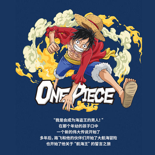 TOI图益航海王系列拼图平面拼图卡通动漫海贼 商品图3