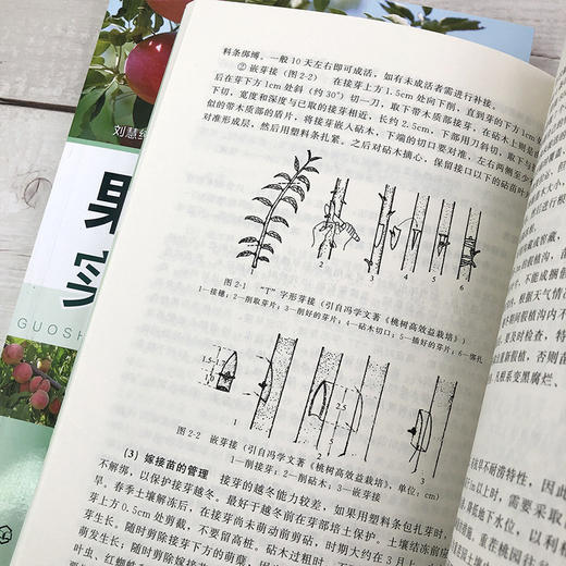 果树栽培实用新技术 苹果桃葡萄甜樱桃梨果树栽培技术实用手册 高产栽培修剪病虫害防治生态果园管理果树栽培书果树栽培种植技术书 商品图3