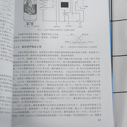 合成气甲烷化技术 成气甲烷化反应热力学和动力学 合成气甲烷化技术背景 煤化工甲烷化关键技术 合成气甲烷化催化剂关键技术应用书 商品图2