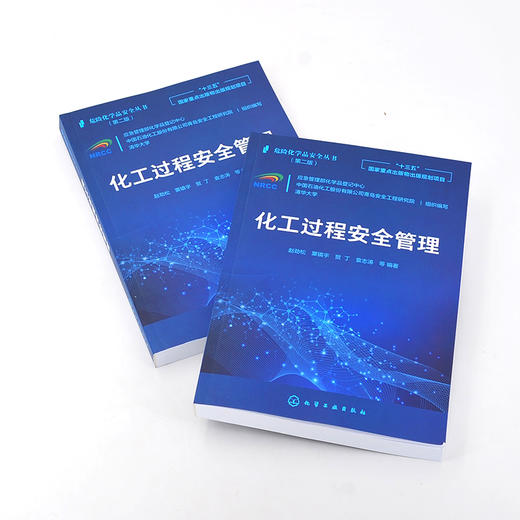 化工过程安全管理 十三五国家重点出版物出版规划项目 化工安全 化工材料制药等流程工业工程技术人员和安全管理人员应用技术书籍 商品图2