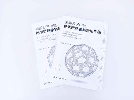 表面分子印迹纳米微球的制备与性能 论述多种纳米微球制备与性能表征的专著 不同结构纳米微球载体制备方法材料化学等科研人员用书 商品图5