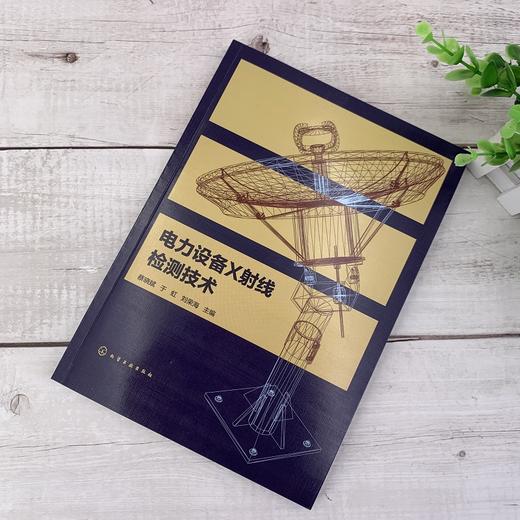 电力设备X射线检测技术 X射线检测技术 电力设备X射线现场检测 电力设备故障诊断 智能化图像处理 电网设备运行检修人员学习参考书 商品图2