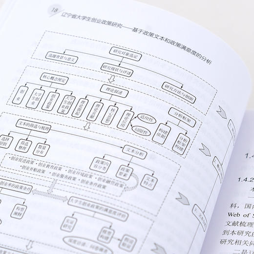 辽宁省大学生创业政策研究 基于政策文本和政策满意度的分析 创业型企业 大学生创业政策效果 辽宁省政府明确政策向度应用参考书籍 商品图4