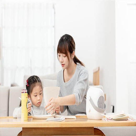 【双十一特价】暖风机+暖被机+烘衣机【三合一】阿米乐AMILE暖风机【赠送同款干衣袋】 商品图4