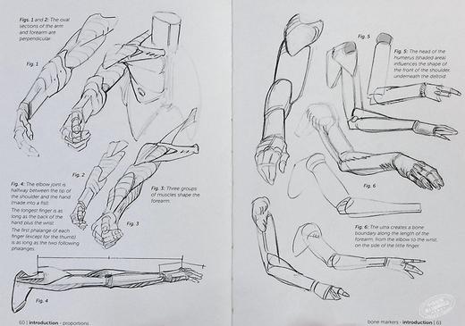 【中商原版】Morpho: Simplified Forms: Anatomy for Artists 英文原版 简单的样式：艺术家的解剖学 人体素描 绘画 商品图6