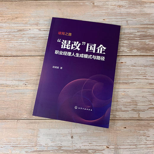 破局之路 混改国企职业经理人生成模式与路径 从理论到实践 从政策到制度 研究国企混改职业经理人的生成 探索国企混改的参考书籍 商品图5