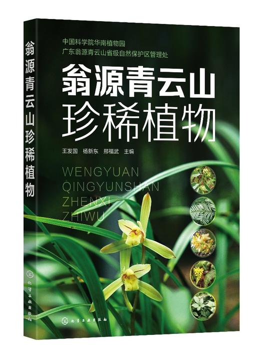 翁源青云山珍稀植物 青云山野生珍稀植物76种 图片清晰 介绍植物濒临程度 植物保护等级 地理分布 珍稀动物管理人员应用技术书籍 商品图0