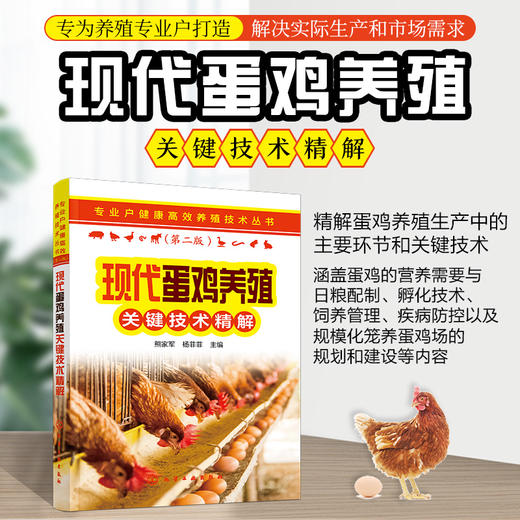 现代蛋鸡养殖关键技术精解 专业户健康高效养殖技术丛书 蛋鸡养殖孵化饲养疾病防治 蛋鸡养殖场建设管理 养殖专业户养鸡场参考书 商品图5
