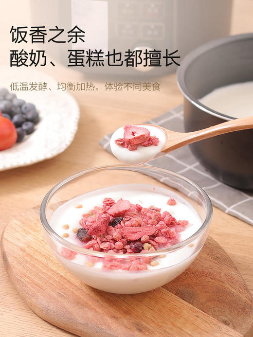 日本爱丽思电压力锅高压锅煲饭全自动火锅智能家用煲汤炖肉多功能 商品图2