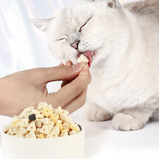 帕特 冻干全家桶【敲满足】犬猫零食 120g/包 商品图4