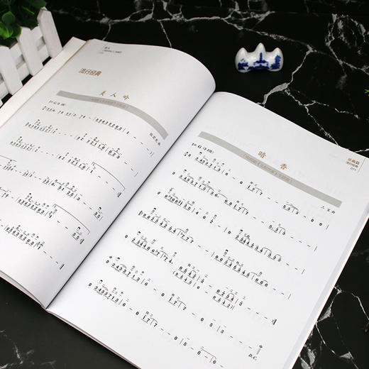赛马 二胡自学从入门到高手 二胡初学者入门零基础自学教材教程书 二胡基础知识演奏技法 二胡曲谱大全流行歌曲练习曲集伴奏书籍 商品图4