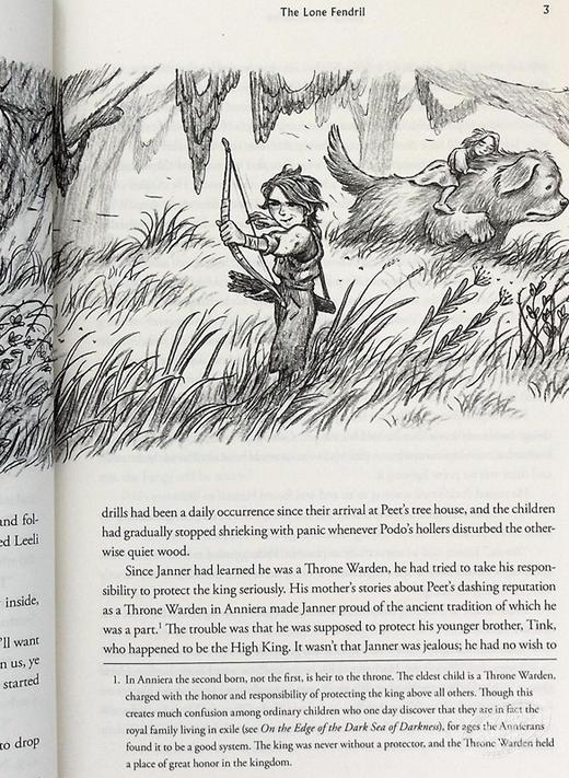 【中商原版】羽翼传奇2 英文原版 The Wingfeather Saga 02 North! Or Be Eaten Andrew Peterson 青少年奇幻小说 商品图4