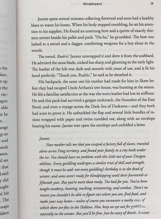 【中商原版】羽翼传奇4 英文原版 The Wingfeather Saga #04: The Warden and the Wolf King Andrew Peterson 青少年奇幻小说 商品图7