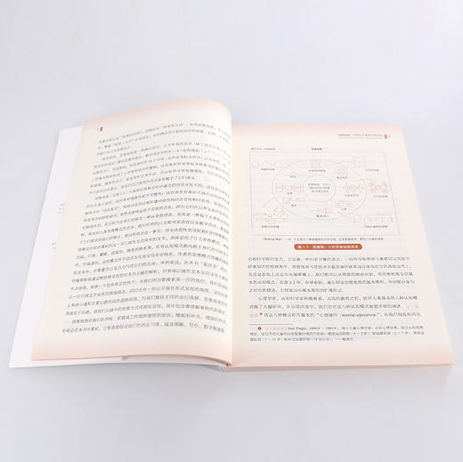 思维地图 可视化工具的学校应用 大卫海勒 哈佛教育学院18位专家联合撰写 思维可视化工具 风靡英美的思维教育案例 思维研究书籍 商品图3