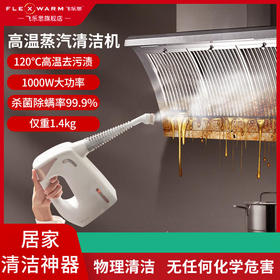 飞乐思高温蒸汽清洁机小型高压厨房油烟机消毒家电家用蒸汽清洗机