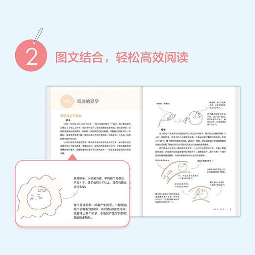 马良坤产科门诊 备孕怀孕分娩30个关键 孕妇备孕书籍 怀孕宝典优生优育书籍 准妈妈备孕应用大全 育儿百科新生儿护理知识孕期书籍 商品图4