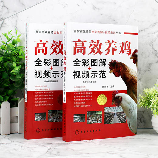 畜禽高效养殖全彩图解 视频示范丛书 高效养鸡全彩图解 视频示范 科学高效养鸡 养鸡技术 养鸡必备书籍 兽医 饲养管理人员应用书籍 商品图2